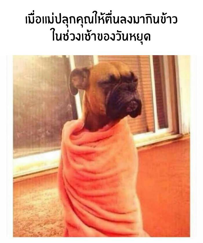 When your mom wakes you up… – P i c k u p T h a i